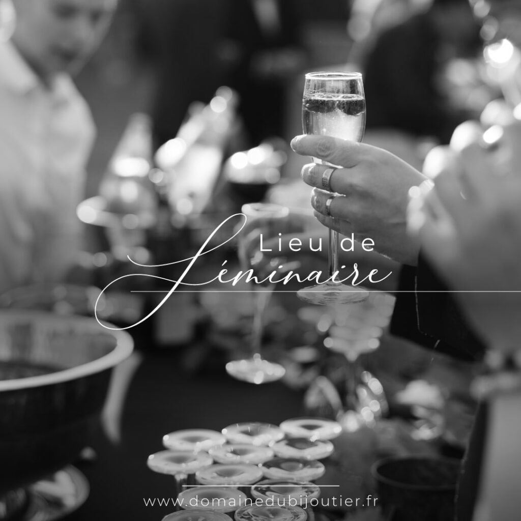 location lieu de séminaire d'été d'entreprise équipé en Provence